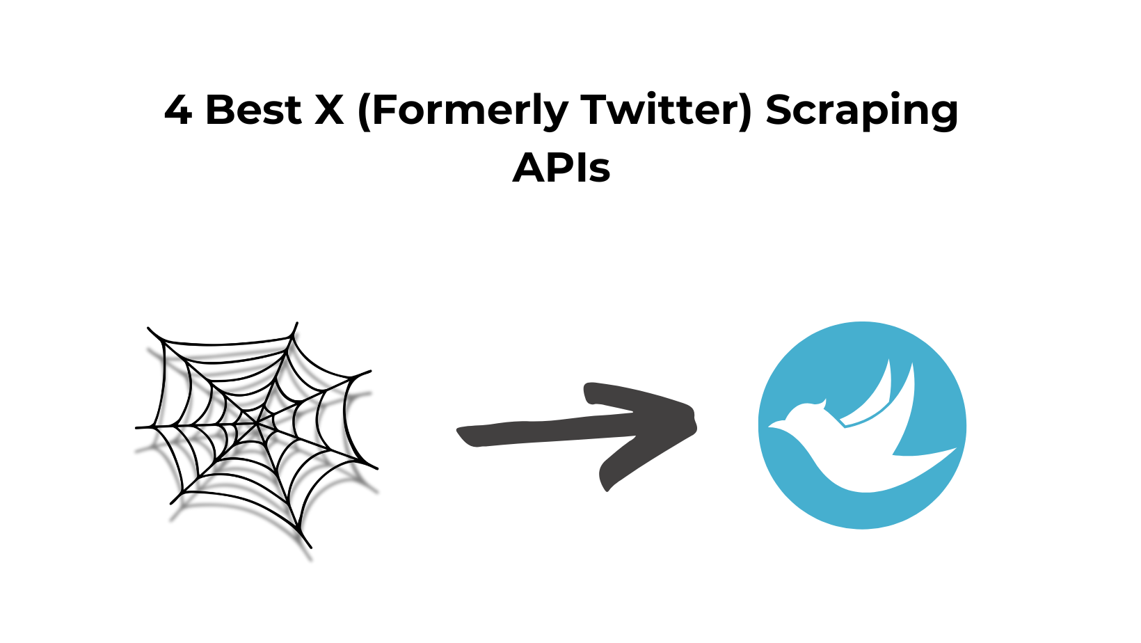 Best Twitter Scraping APIs