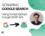 Scrape Google Search Results using SERP API