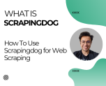 What is Scrapingdog, how to use it for scraping