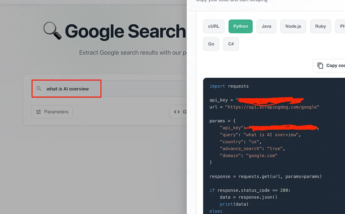 Google search api dashboard